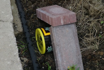 The first bumble bee nest box in place, with bricks to hold it down.