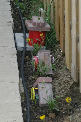 All of my bumble bee nest boxes.