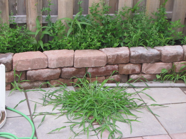 Weeds